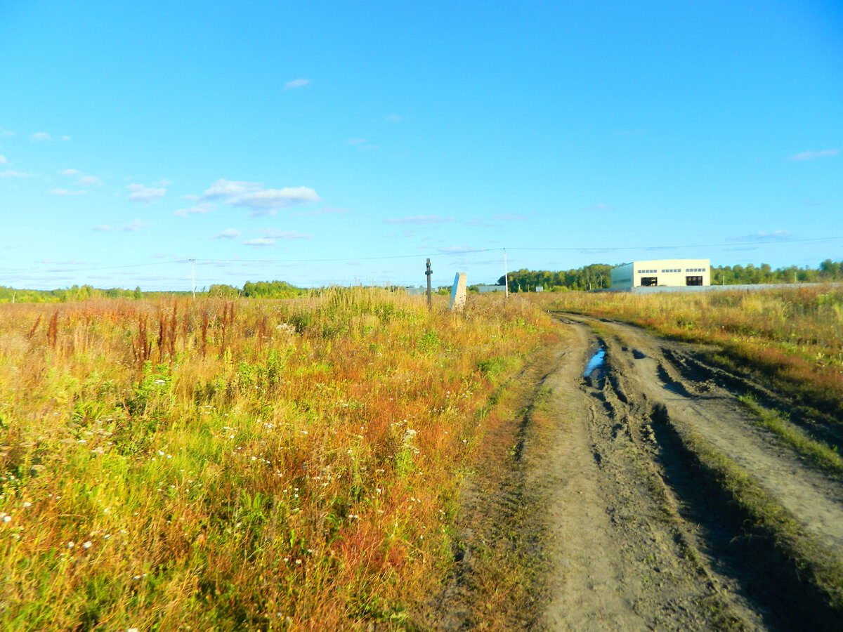 Полевая дорога к памятнику