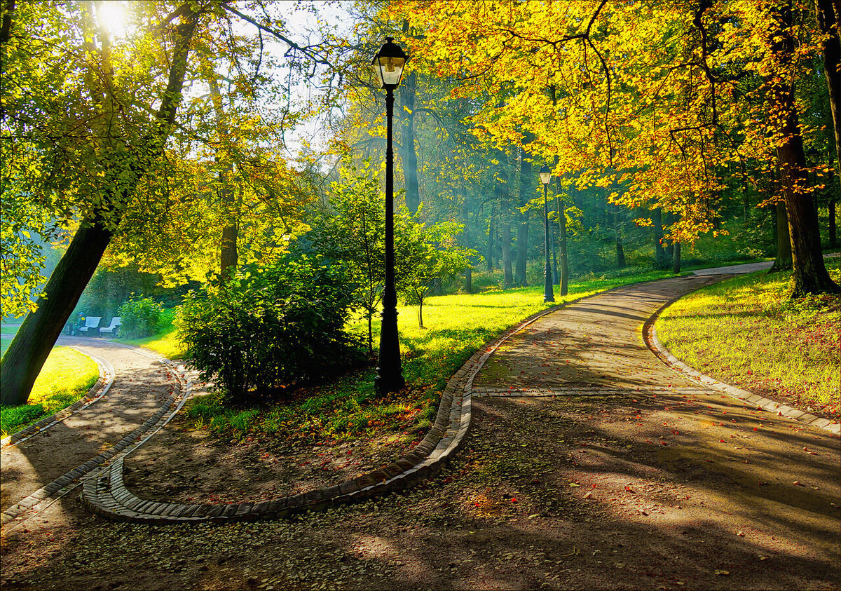 Яндекс.Картинки