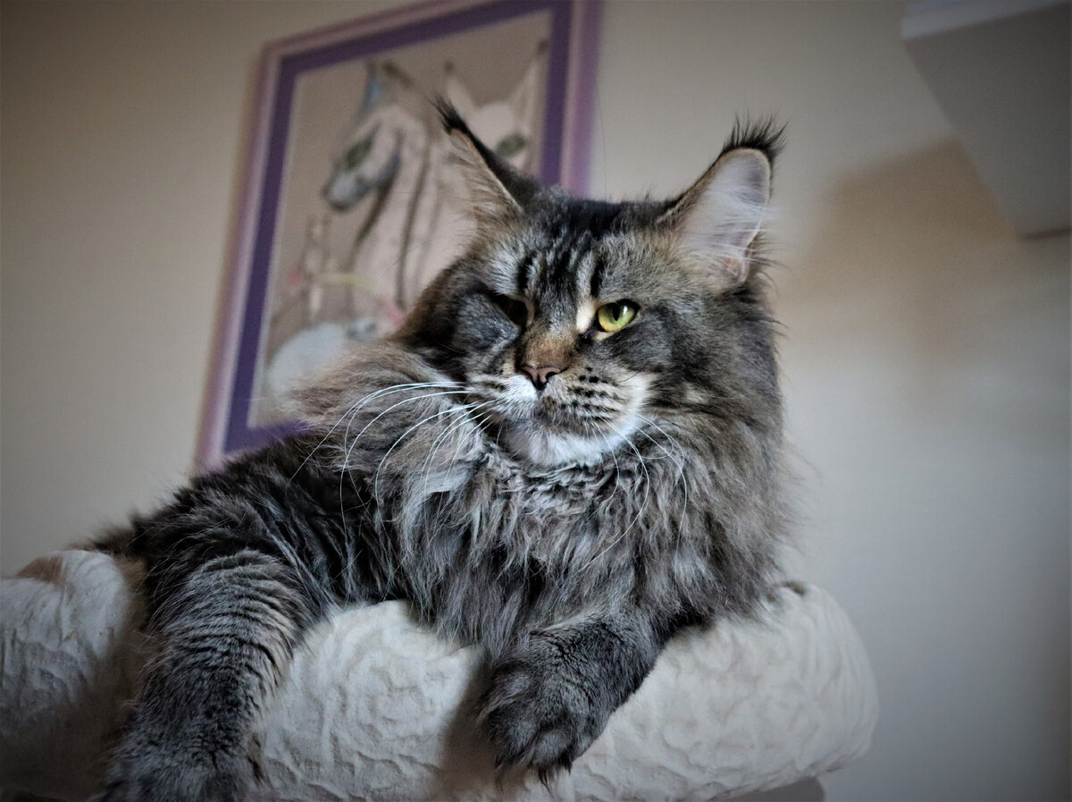 Фото из личного архива.