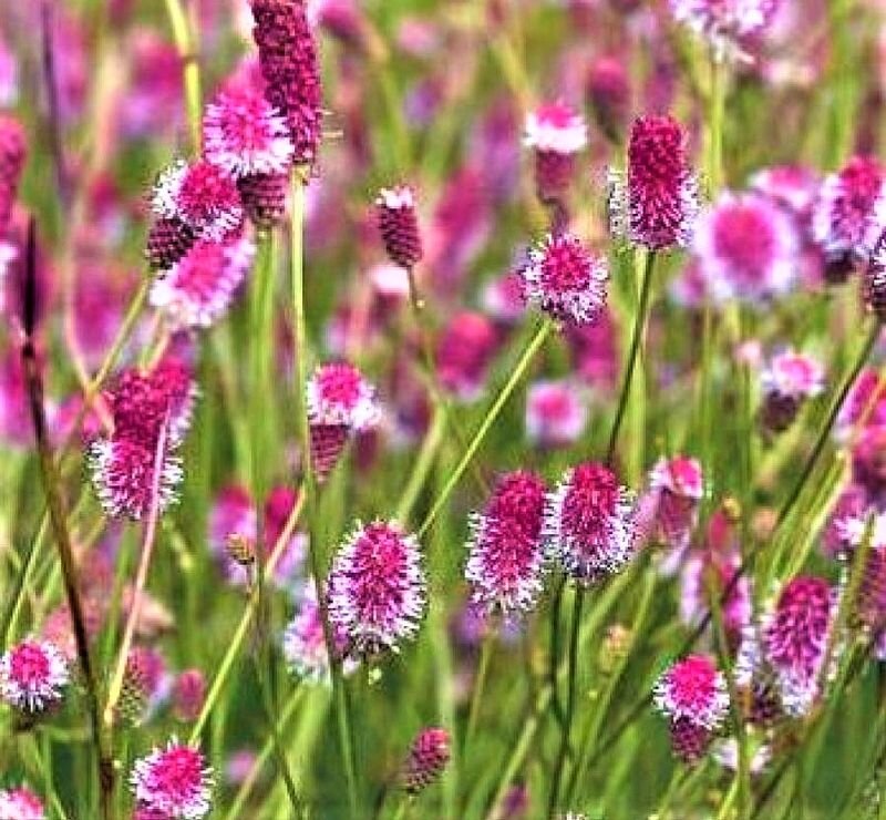 Фото с сайта: https://clck.ru/cHNJy