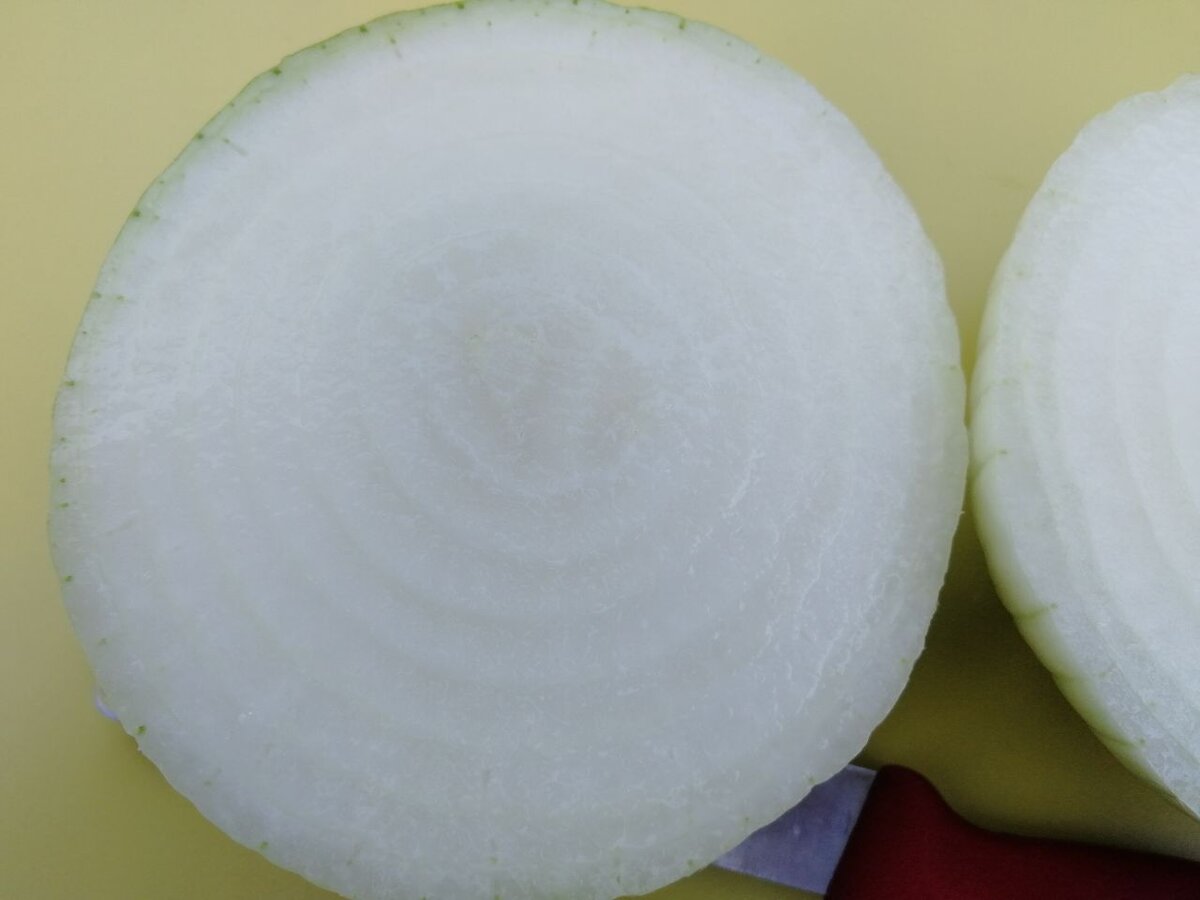 Диаметр головки - 8-11 см, фото автора