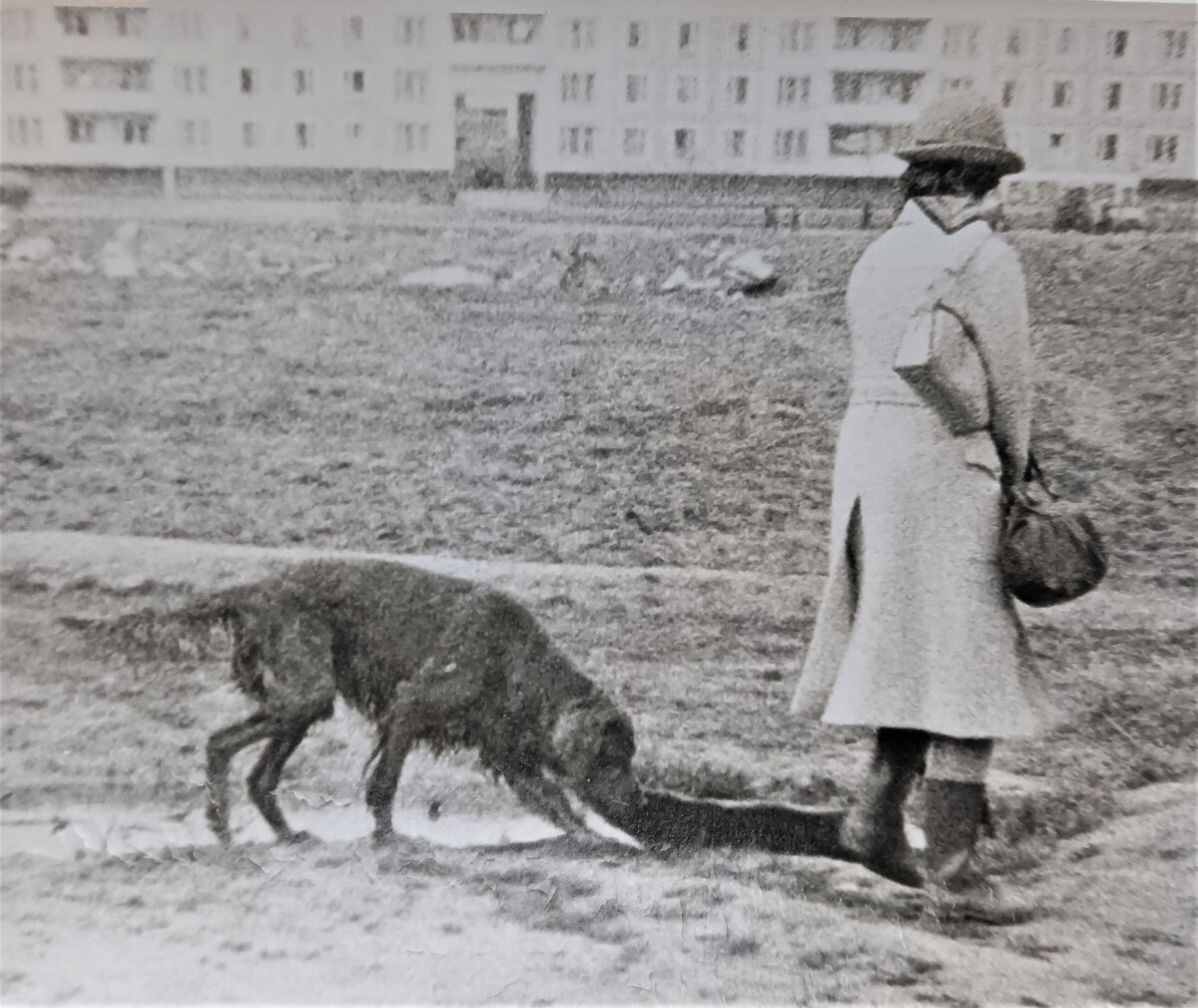 Мама гуляет с Пиратом.