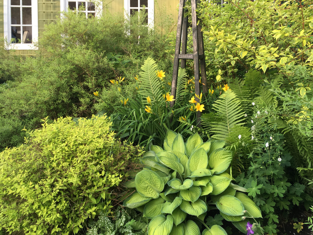 Фрагмент сада Ирины Чадеевой, канал "Хюгге на 6 сотках"