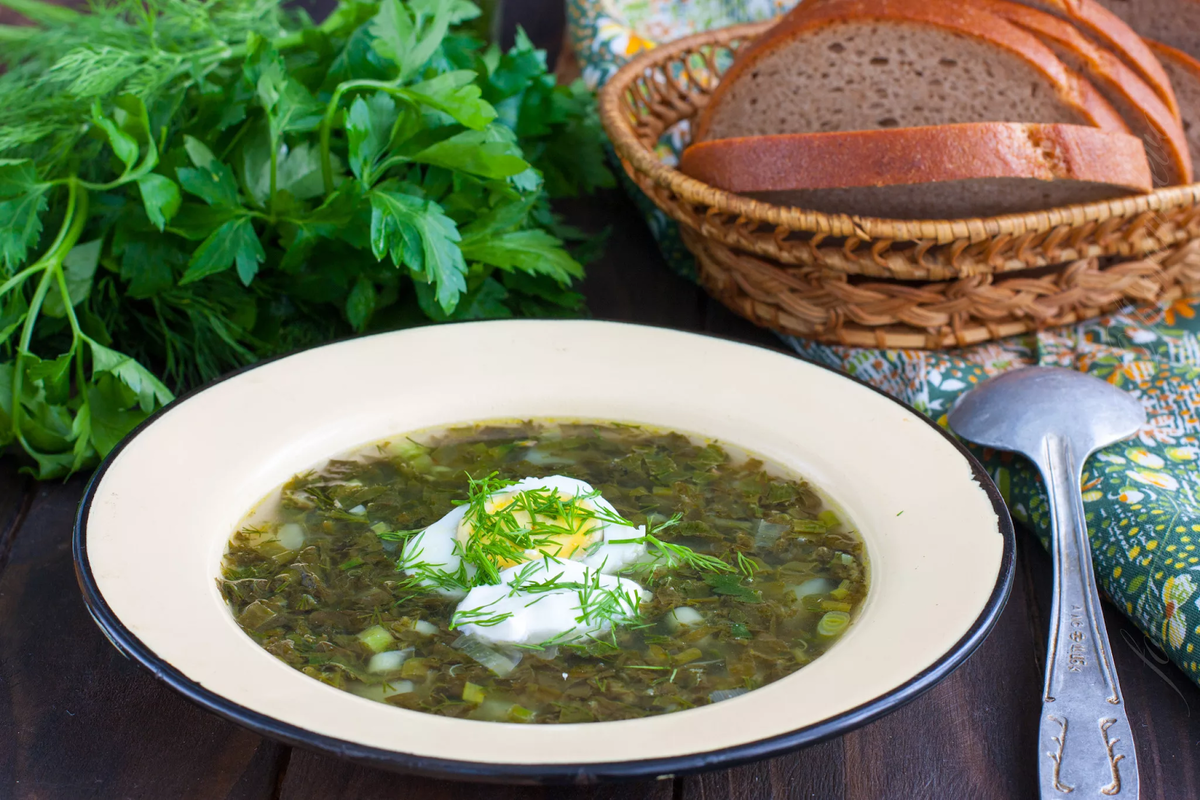 Зеленый борщ или щи со щавелем (фото из открытых источников)