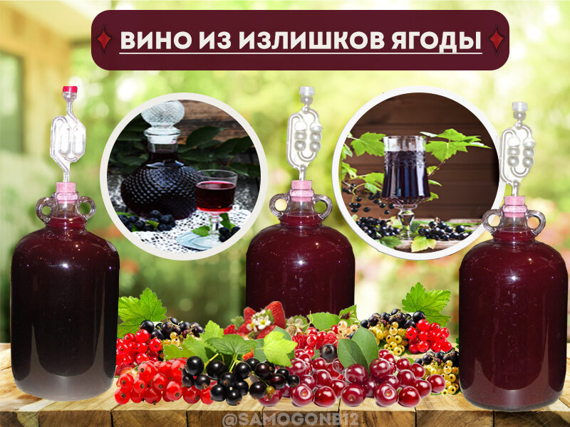 Способы изготовления вина из забродившего компота