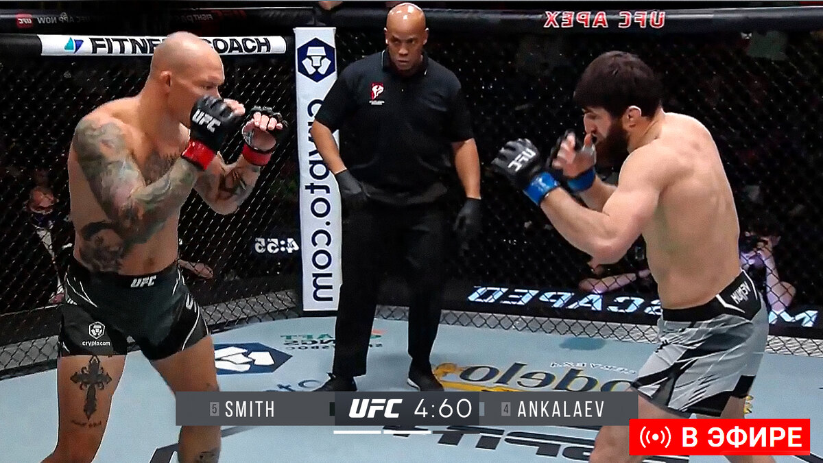 Противники напротив.  фото: картинки  яндекса.