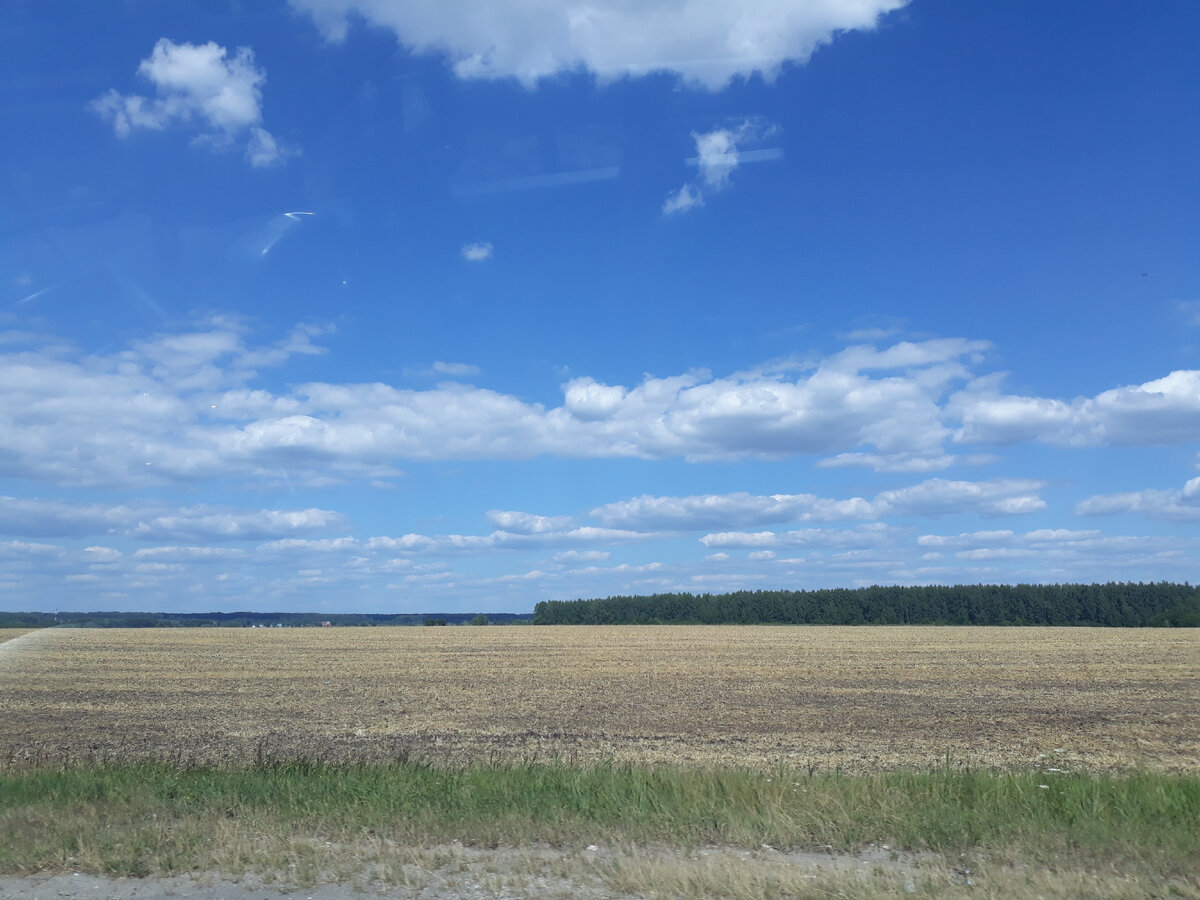 Вчера в окно машины фотографировала