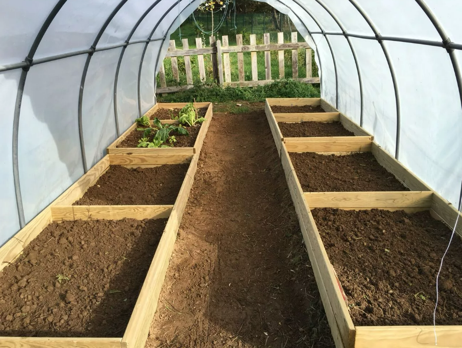 Фотография взята из источника yandex.ru