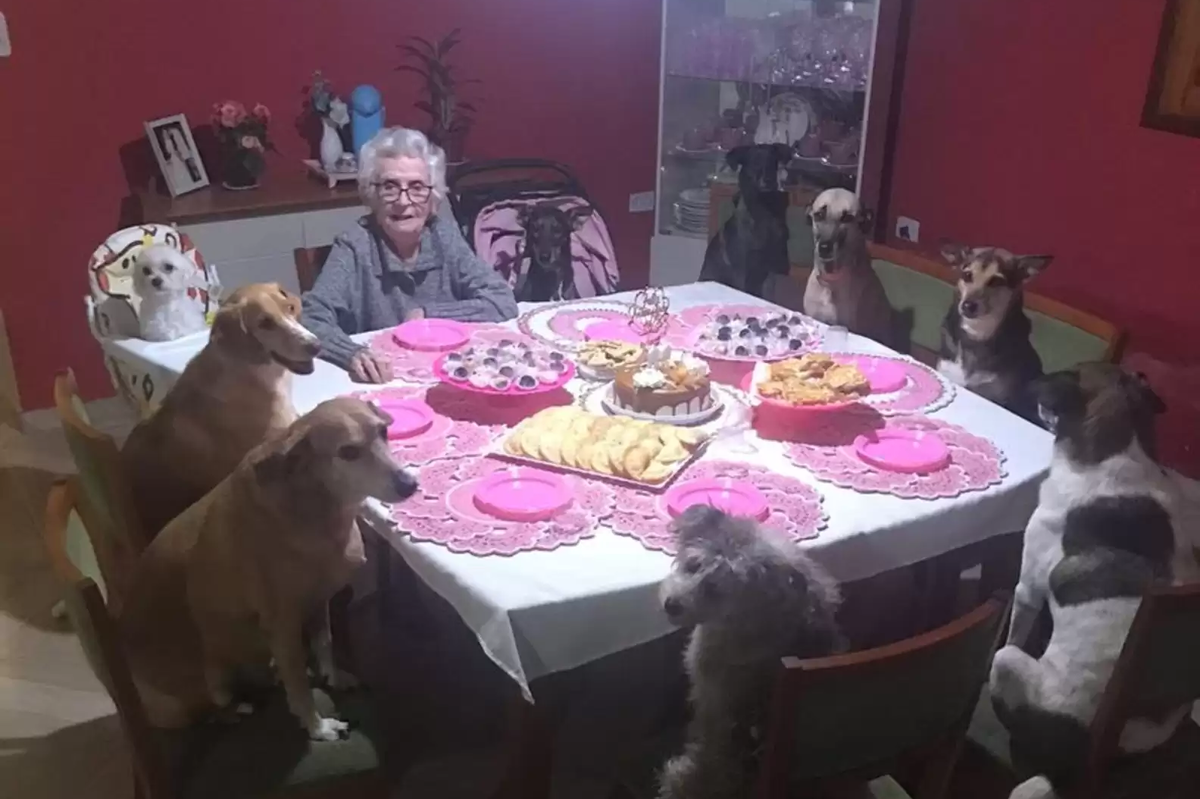     89-летняя жительница Бразилии позвала на свой день рождения 10 собак