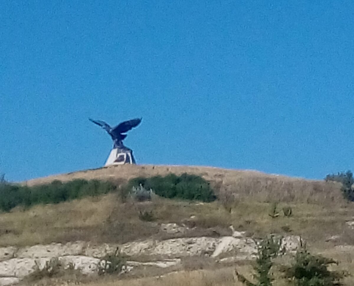 Орел над Вешенской.