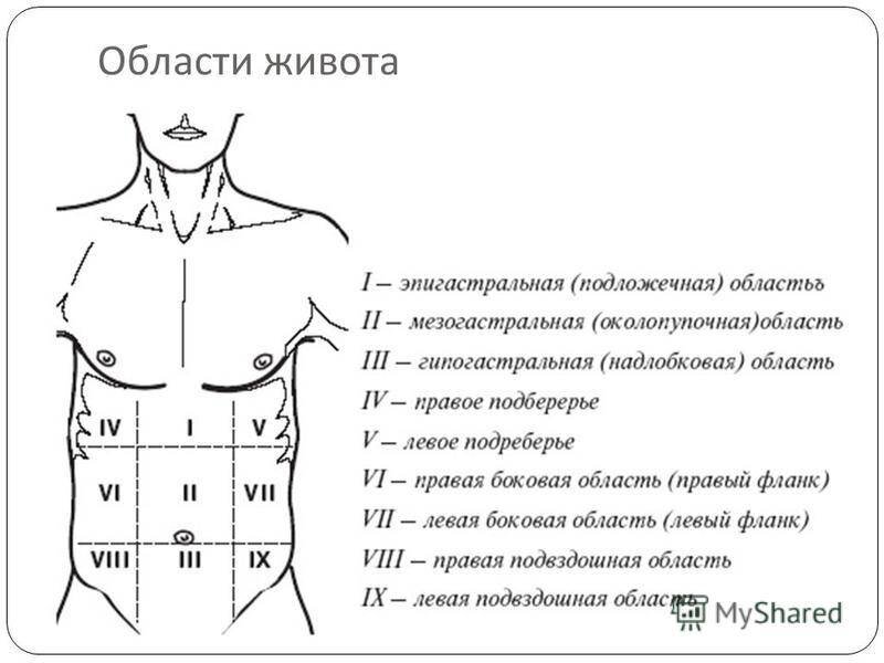 Схема боли в животе