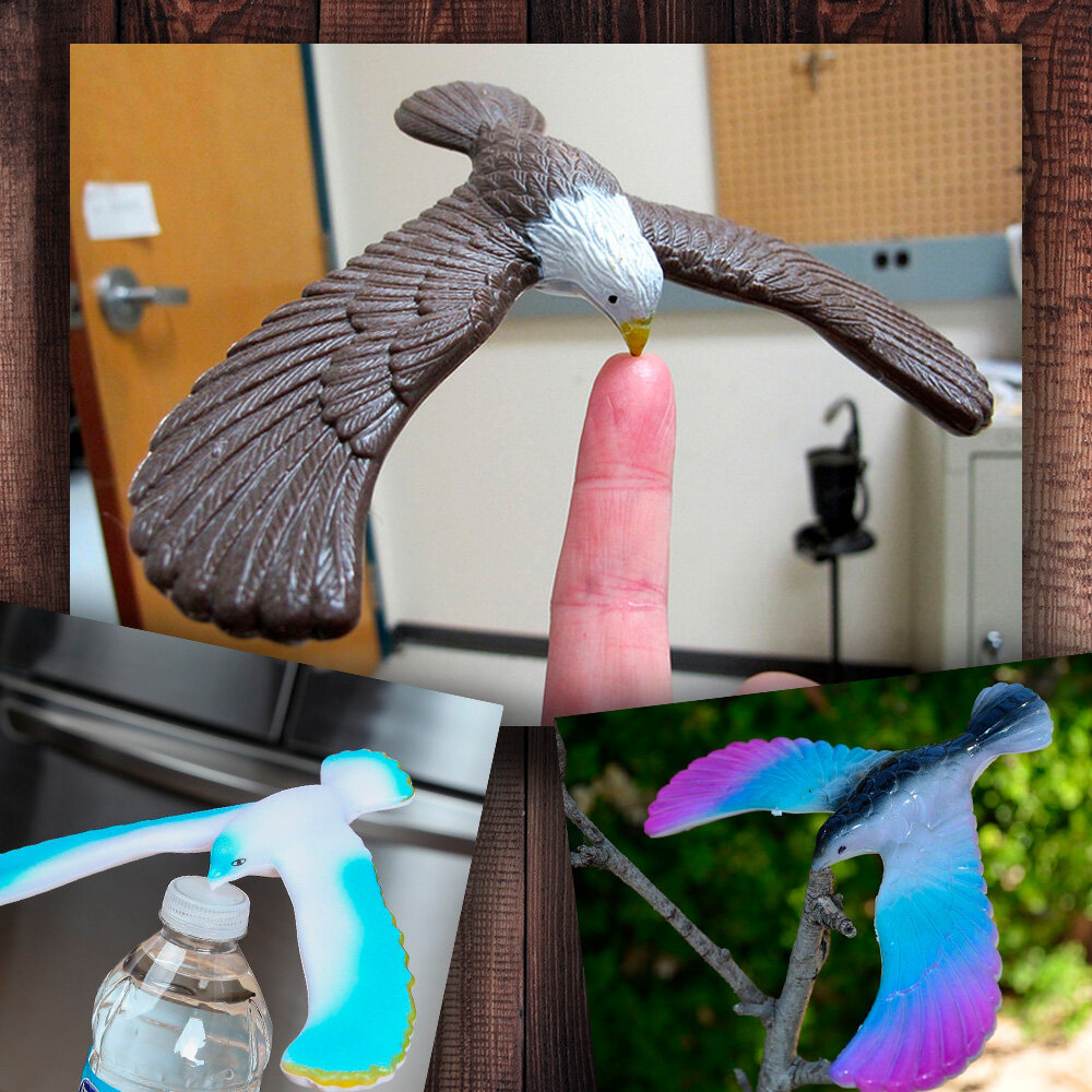 Фото с просторов интернета