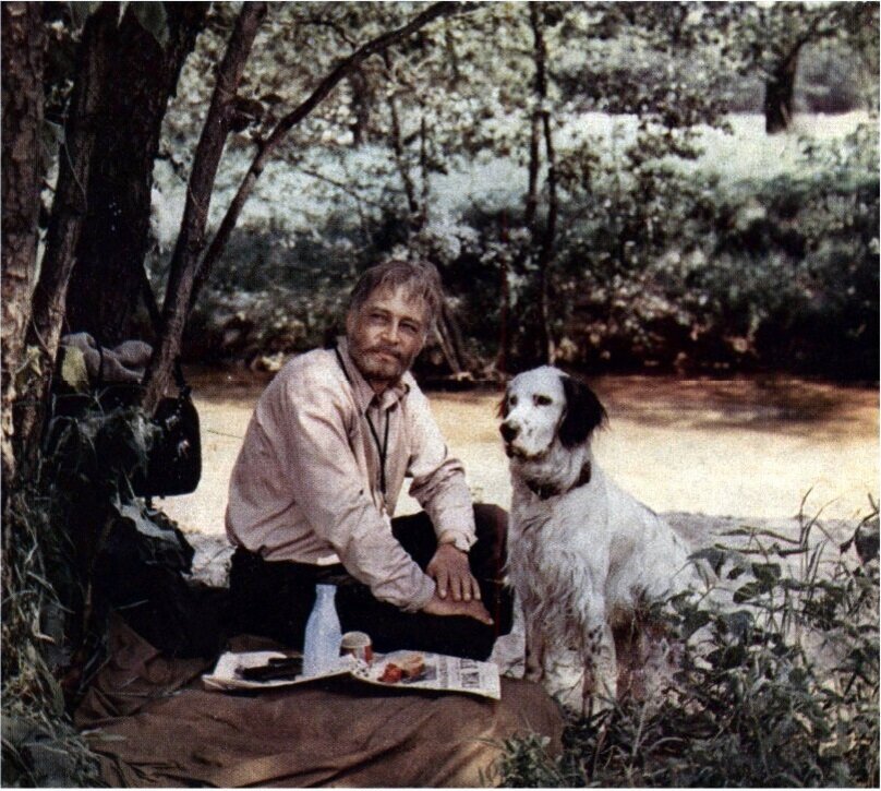 Кадр из фильма "Белый Бим Черное Ухо" // Кинопоиск 