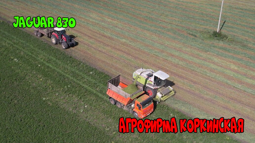 Комбайн Claas Jaguar 830 уборочная в засуху однолетка