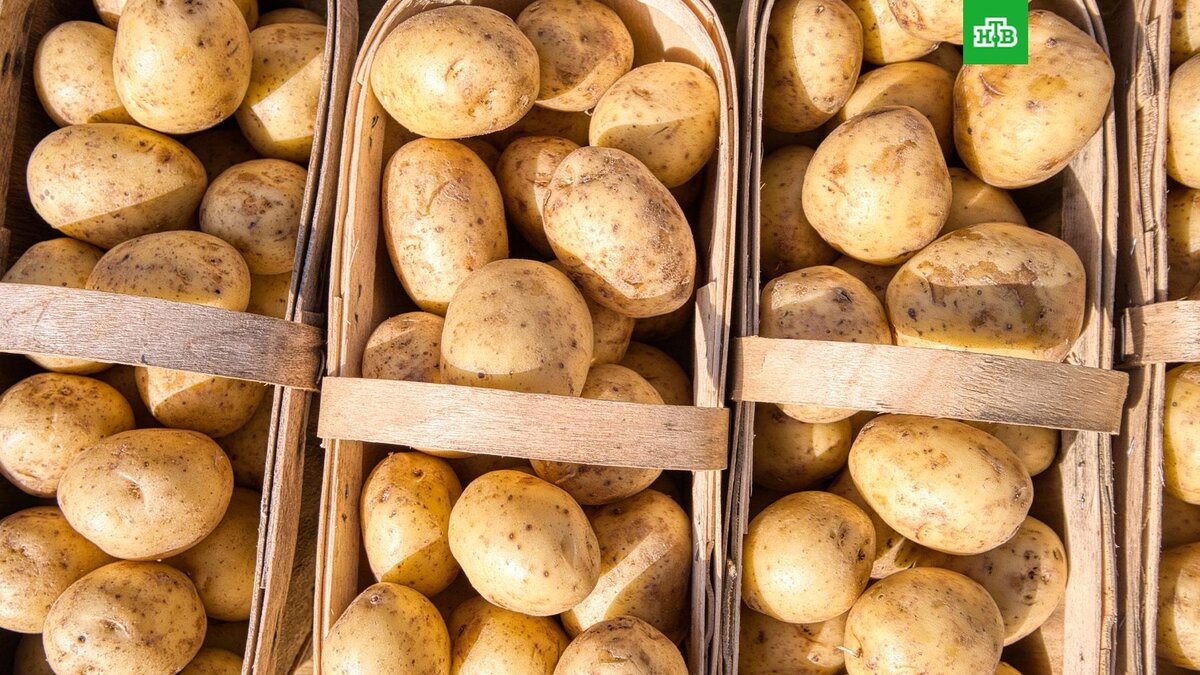    Фото: eprouzet / unsplash.com