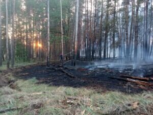  📷    Поезд стал причиной целой череды возгораний на территории и возле «Бузулукского бора» Белов Михаил Александрович