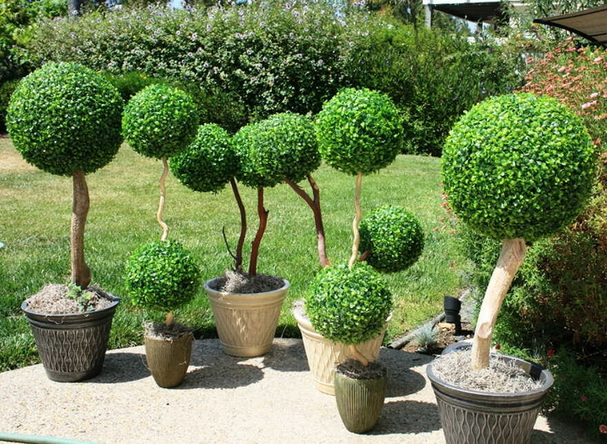 Источник фото: greenpoint24.ru