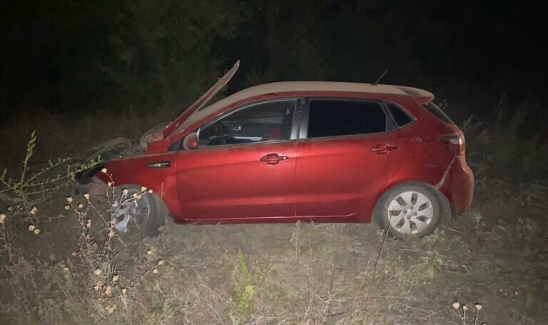    Дикий кабан стал причиной ДТП на трассе Бузулук-Уральск, пострадали женщина и ребенок Кристина Просвиркина