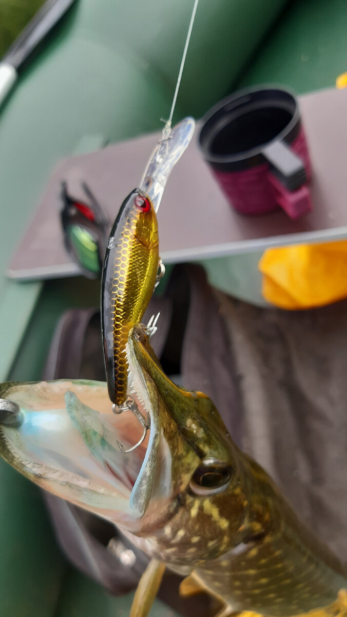 Фотки что бы статью разбавить, но все мои) не с яндекса)