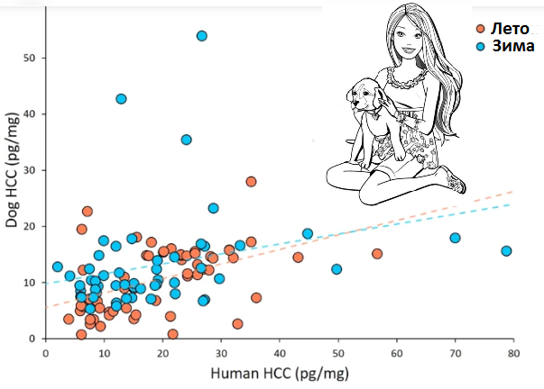 Рисунок показывает сильную зависимость между концентрацией гормона стресса (кортизола) у собак и их владельцев