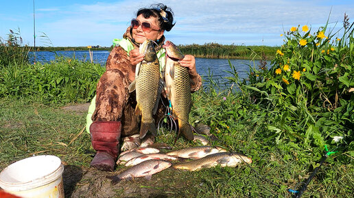 Баня Рыбалка Грибы Скачать Песню | Дзен