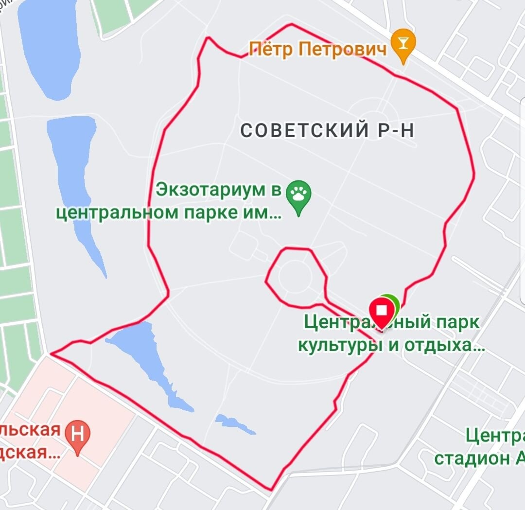 Трек из Garmin