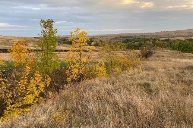    Какой будет погода 1 сентября в Алтайском крае?