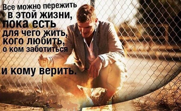 Картинка взята из общего и свободного доступа в интернет