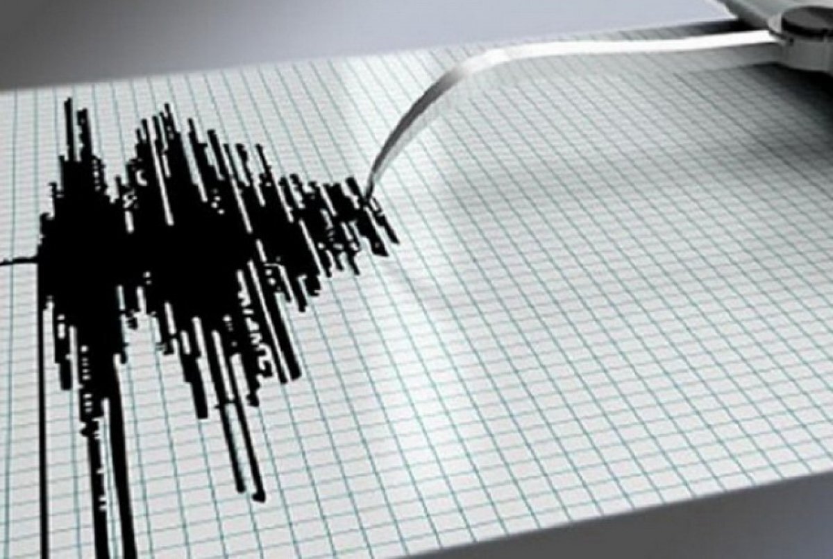    Утром 2 сентября жители Камчатки ощутили подземные толчки в 3 балла