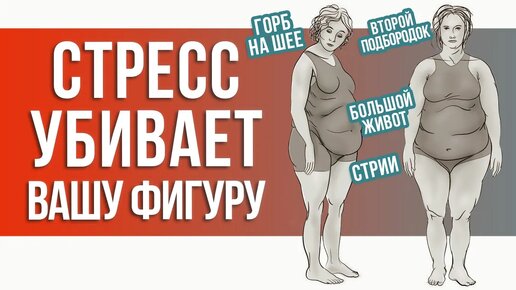 СТРЕСС вас ПОЛНИТ! / Как НАВСЕГДА избавиться от ЖИВОТА? #здоровье #стресс #убратьживот #стройность #красиваяфигура #похудение #тонкаяталия