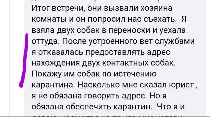 Скриншот поста в телеграм-канале "Pudgik Gratti. Токсичная благотворительность"