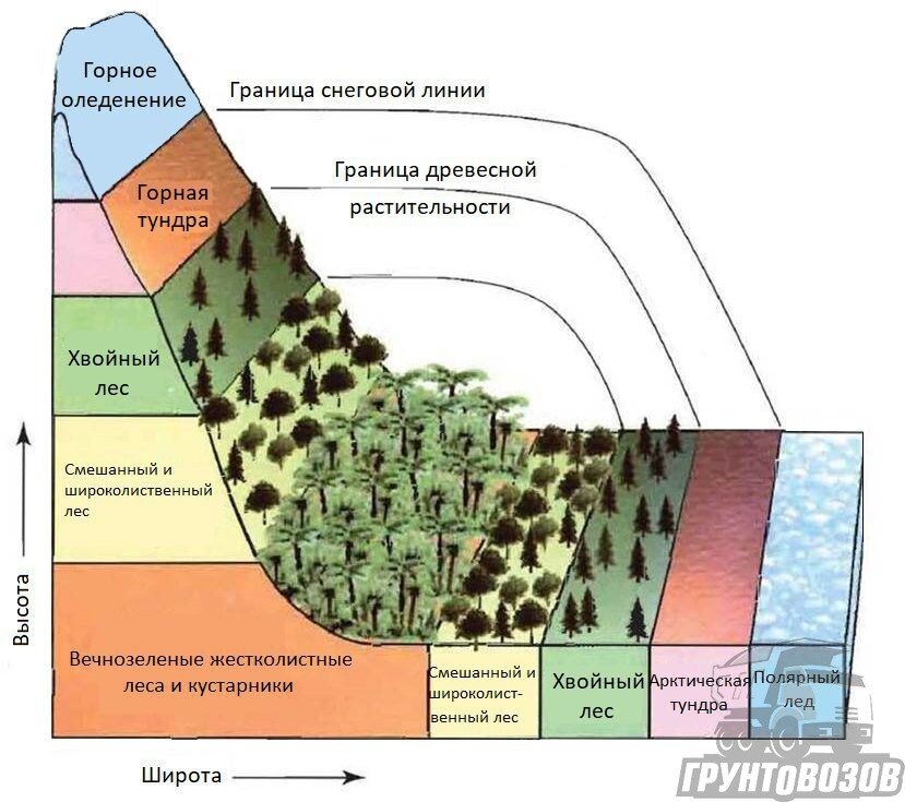 Состав горной почвы