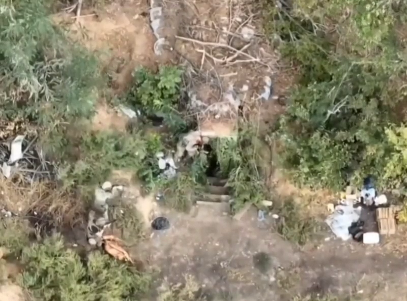 Фото: Скриншот видео 
