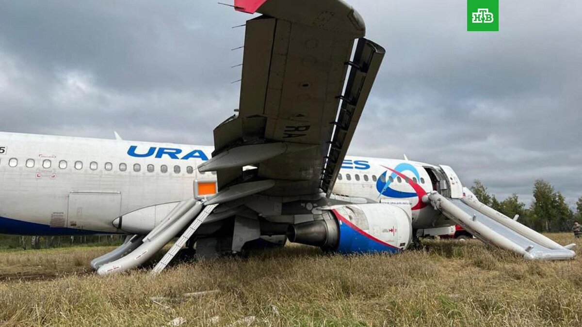    Фото: uralairlines_official / t.me