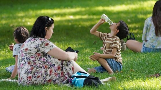    Желтый уровень опасности в связи с жарой объявлен в Белоруссии 13 сентября Богдан Герцен