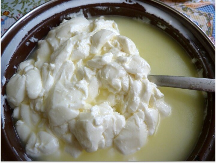 Сырный сгусток. С него начинается любой сыр.