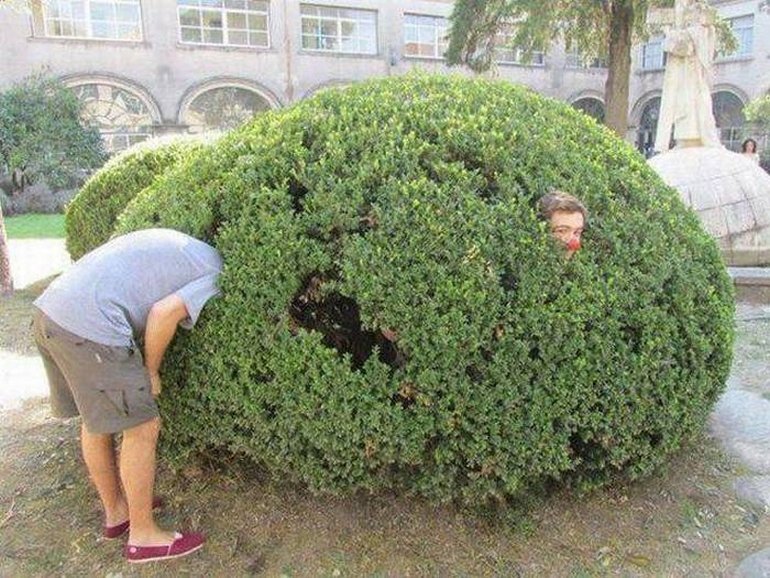 Фото взято из сервиса Яндекса, картинки