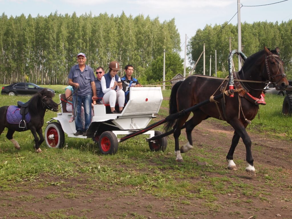 Челно-вершины. Самарская обл Челно вершины. Мельница в Челно-Вершинском районе. Челно-вершины село население.