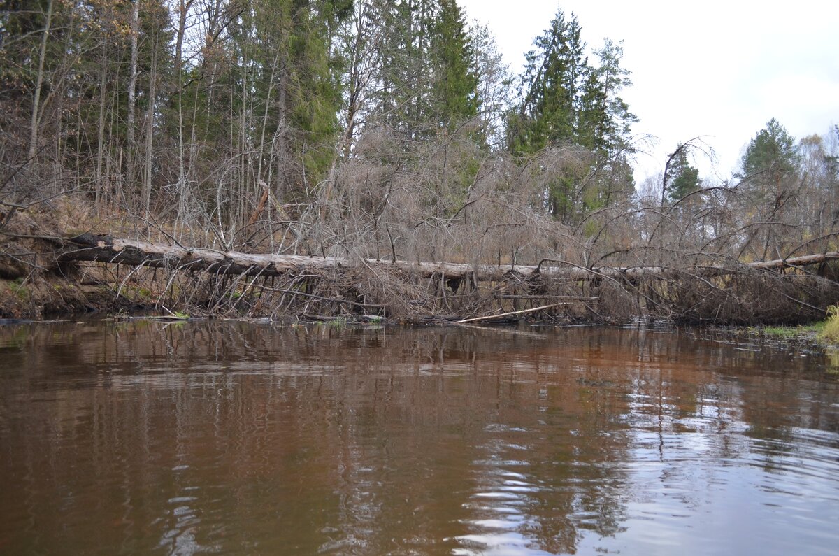 Люнда река нижегородская область