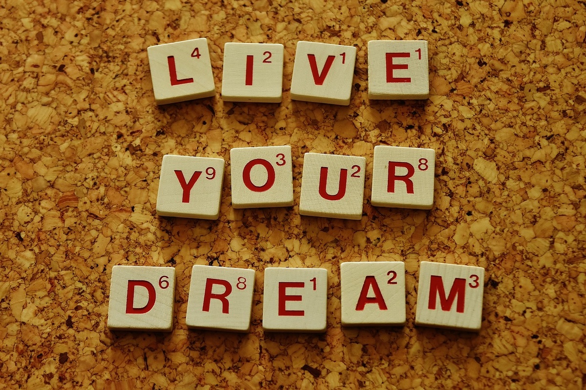 https://pixabay.com/ru/photos/жить-своей-мечты-мотивация-стимул-2045928/