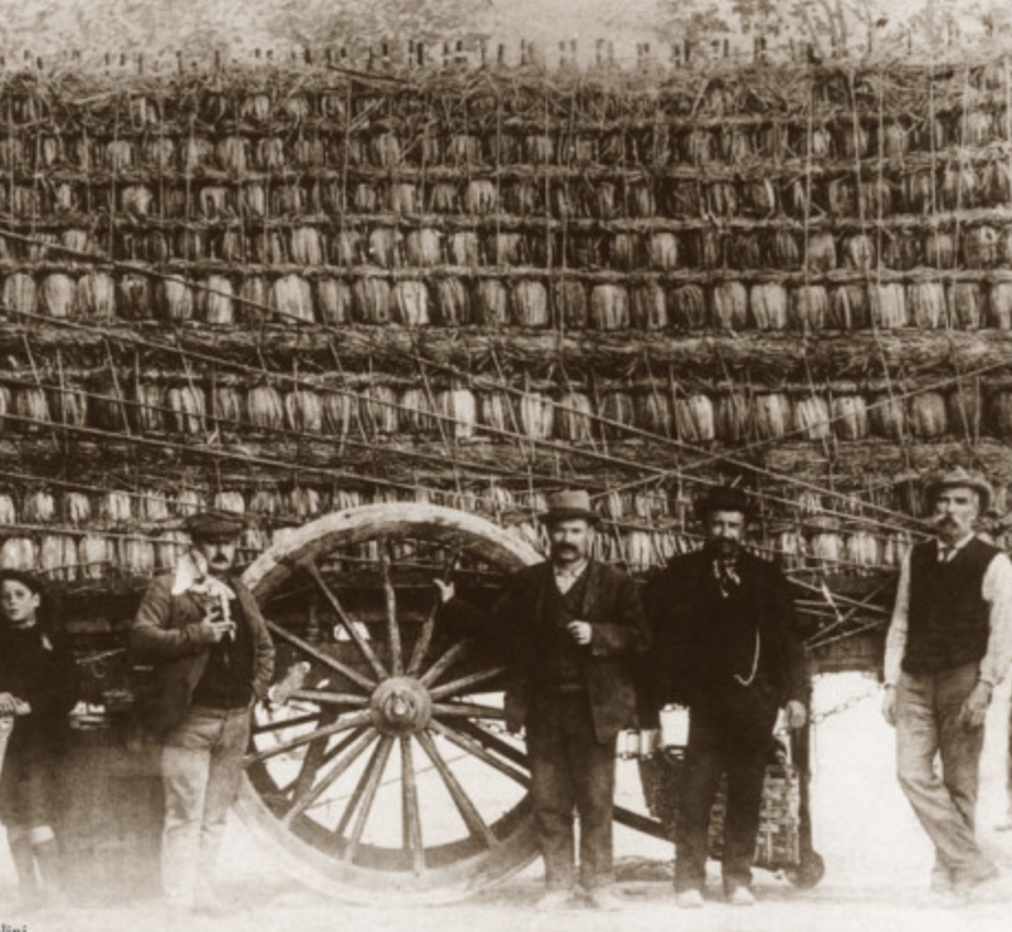 Un barroccio carico di fiaschi