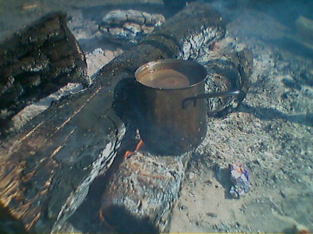 Фото: Николай Беляшов
