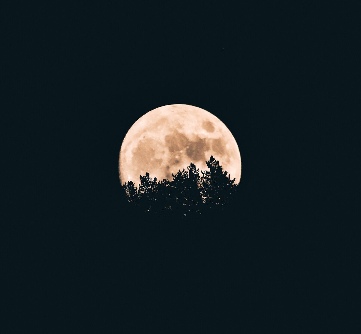 Photo by Aron Visuals on Unsplash
