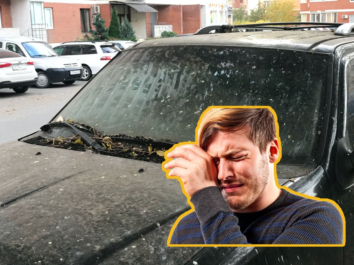 Источник: Канал "Дядя Ваня про авто"