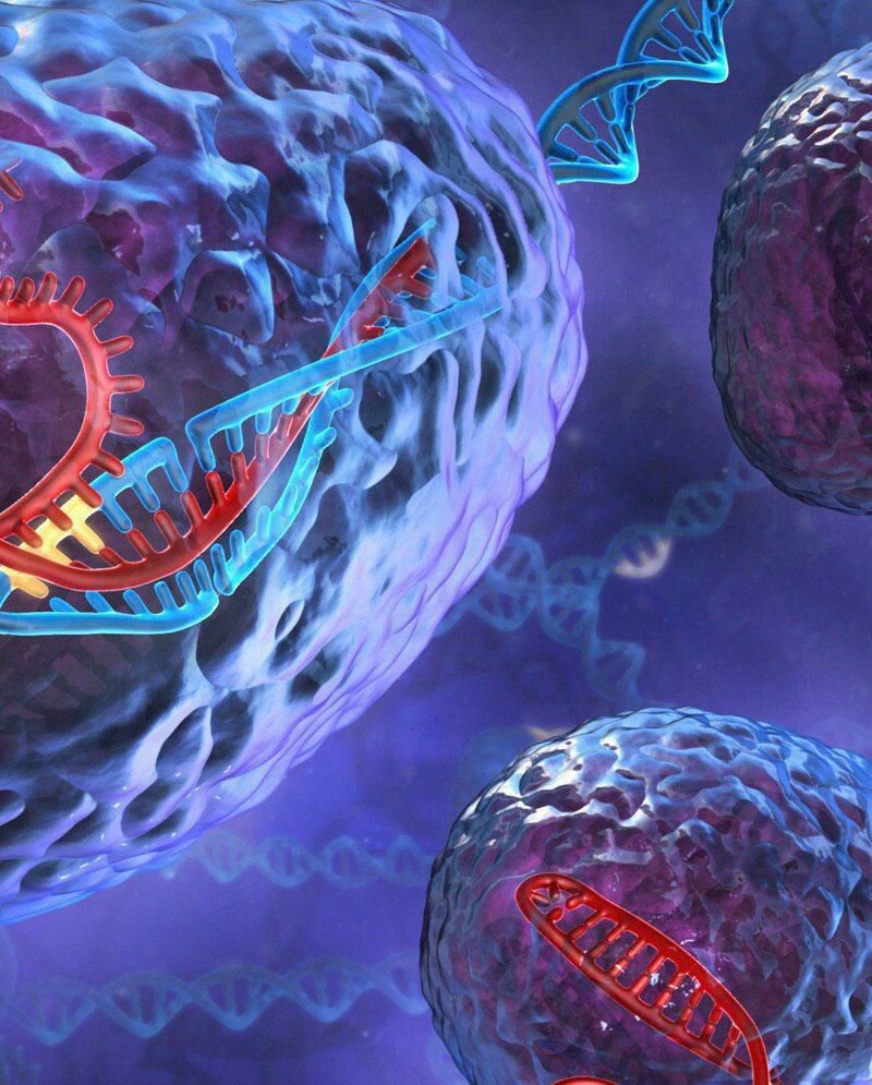 Mногие из учёных уверяют, что аутизм - это следующая стадия эволюции человека.