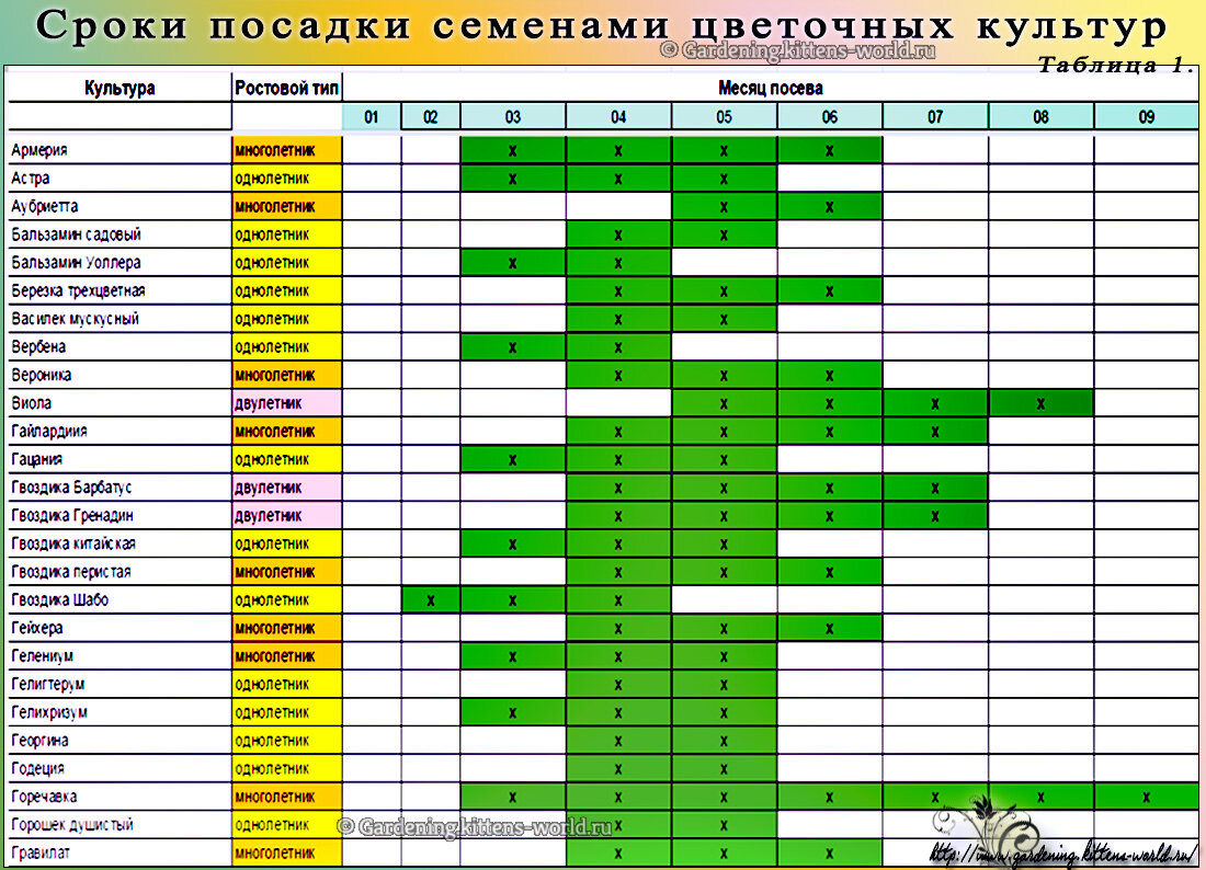 Сорта овощных культур для северо запада