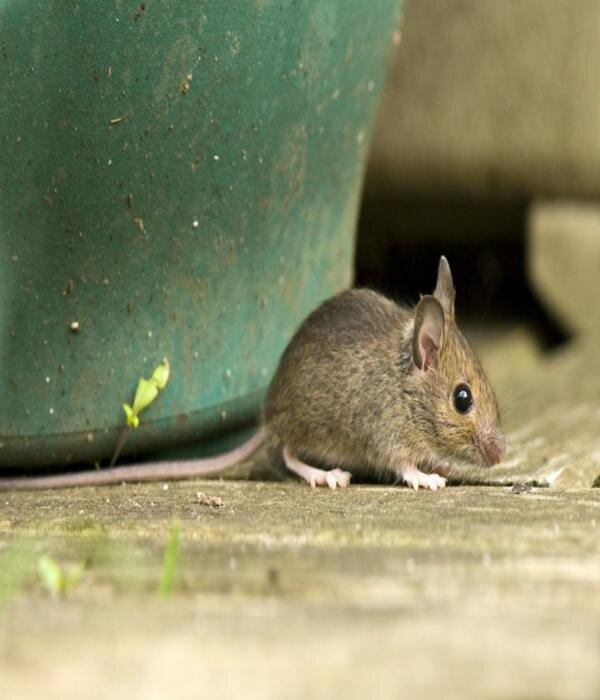 Источник: Яндекс.Картинки 