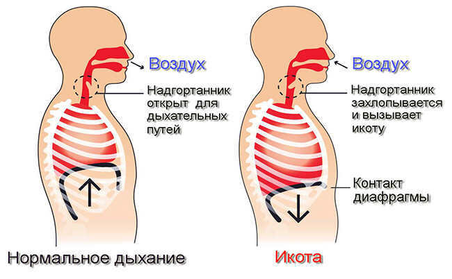 Взято с google.com