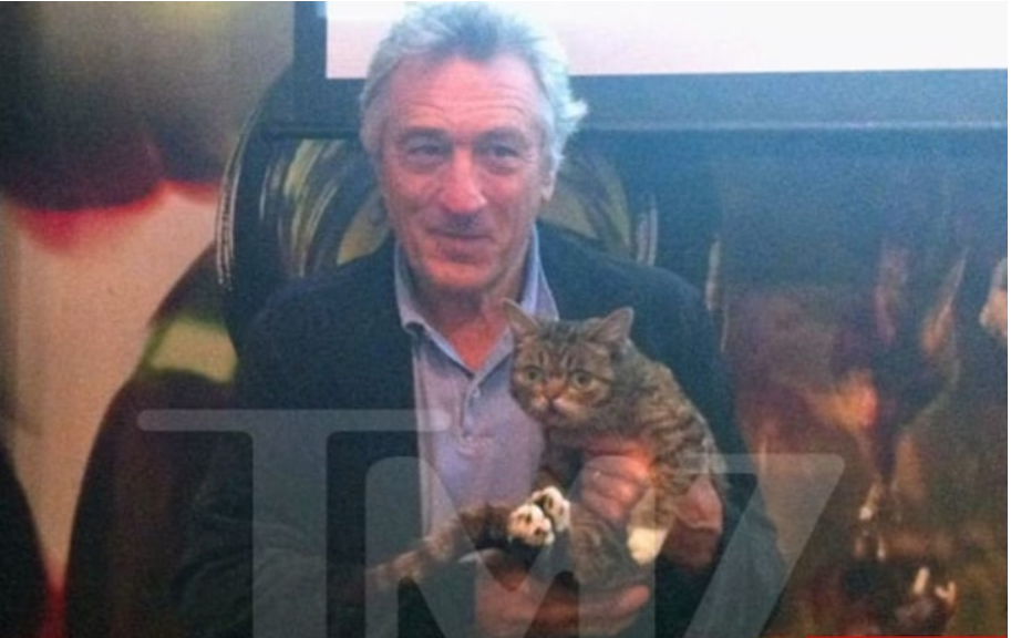 Роберт ДеНиро и ЛБ