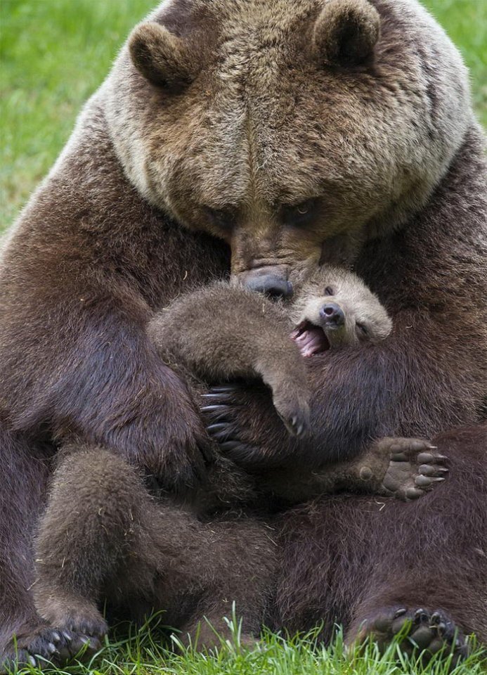 Ӄ’отраньӽ ӿара ӄ’отрнонӄ ӿара